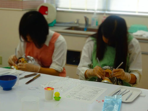 2016オープンキャンパスのご案内